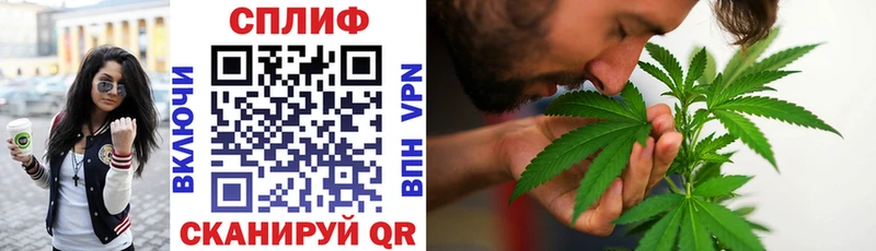 Купить наркоту Дагестанские Огни Кокаин Галлюциногенные грибы МЕТАМФЕТАМИН Гашиш А ПВП Конопля