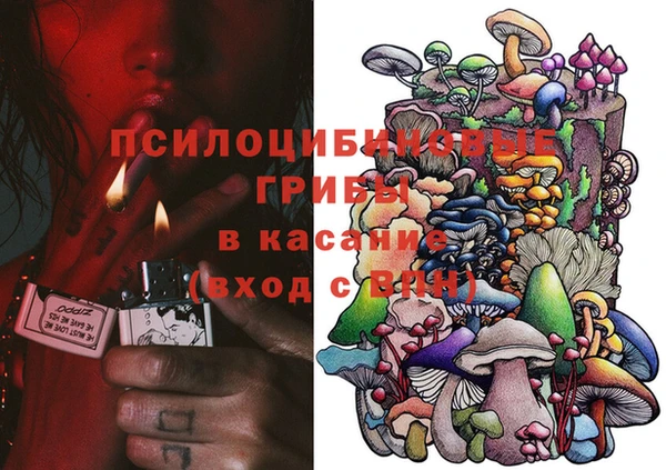 амфетамин Белокуриха