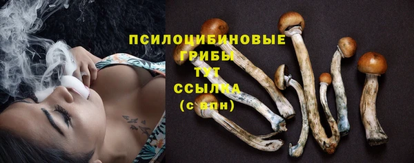 амфетамин Белокуриха